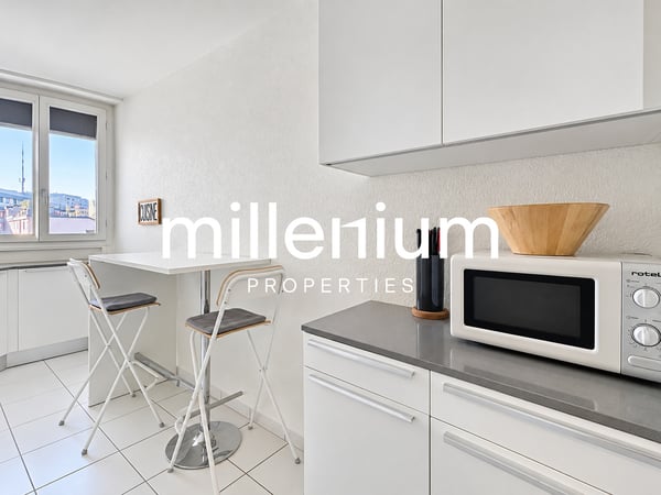 Appartement de charme avec vue panoramique sur le Rhône 5