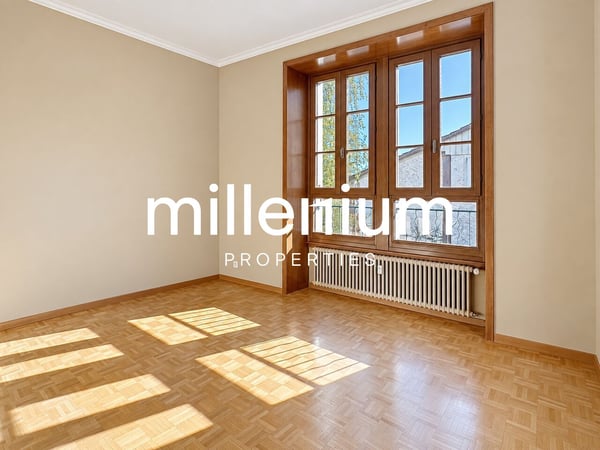 Appartement duplex de charme en rez-de-jardin au Château Barillet --Satigny 9