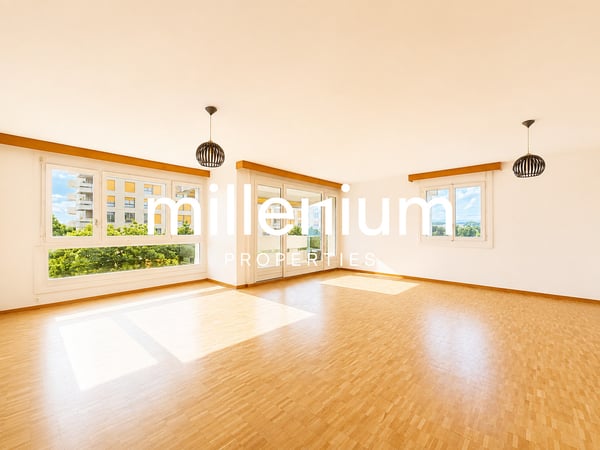 Appartement familial avec terrasse et vue dégagée - Meyrin 11