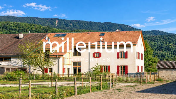 Belle maison familiale entièrement rénovée avec jardin à Jussy 7