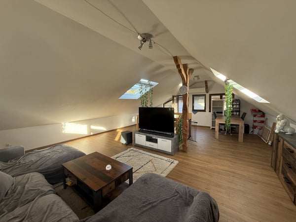 Réf: 11110*** Axe Bâle-Ferrette:  Propriété d'exception de 460 m² env. 22