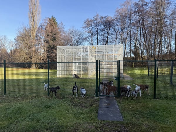 Réf: 11110*** Axe Bâle-Ferrette:  Propriété d'exception de 460 m² env. 30