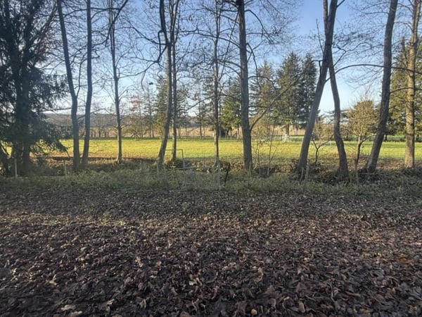 Réf: 11110*** Axe Bâle-Ferrette:  Propriété d'exception de 460 m² env. 5