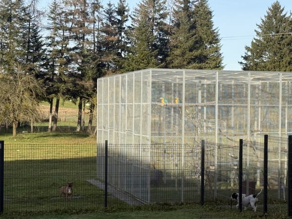 Réf: 11110*** Axe Bâle-Ferrette:  Propriété d'exception de 460 m² env. 24