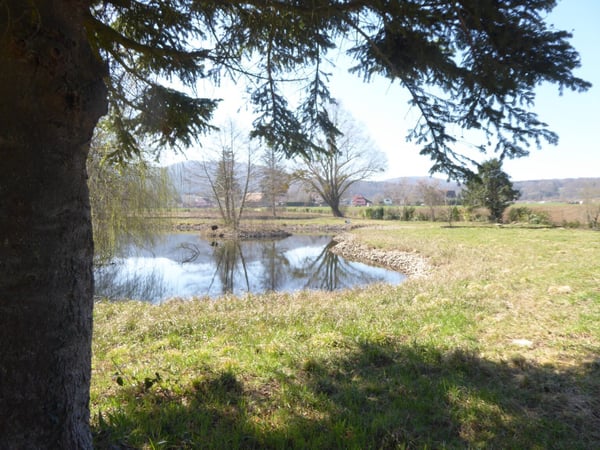 Réf: 11110*** Axe Bâle-Ferrette:  Propriété d'exception de 460 m² env. 16