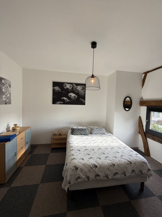 Réf: 11159*** Sect. Obermorschwiller / Steinbrunn: Charmante grange rénovée env. 110 m² 12