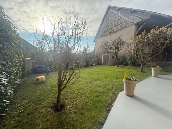 Réf: 11159*** Sect. Obermorschwiller / Steinbrunn: Charmante grange rénovée env. 110 m² 25