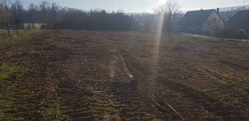Réf: 11172***Axe Bâle - Altkirch: Beau terrain env. 29 ares dont 24 constructibles 2