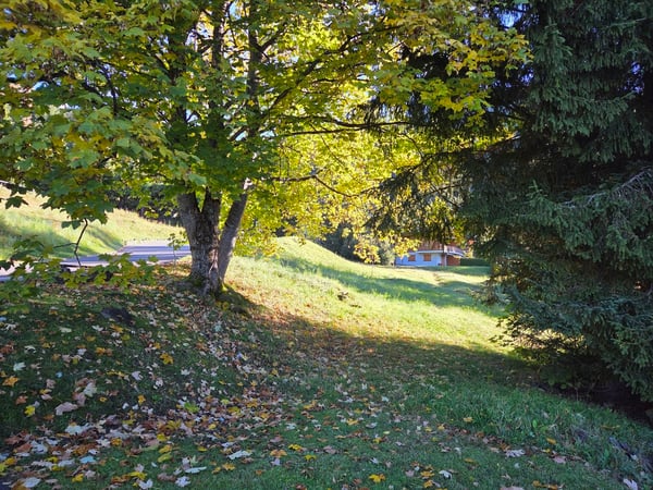 Parcelle constructible de 2044 m2 - Domaine de la Résidence 3