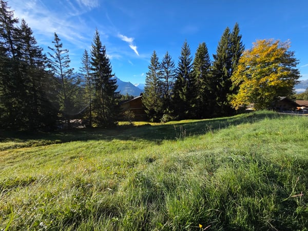 Parcelle constructible de 2044 m2 - Domaine de la Résidence 13