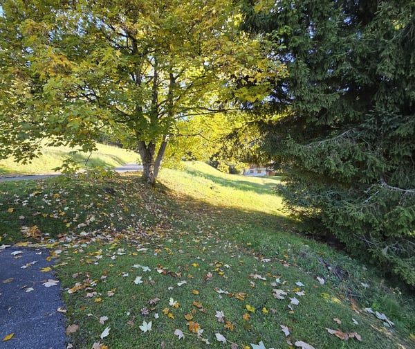 Parcelle constructible de 2044 m2 - Domaine de la Résidence 2