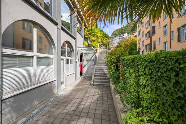 Superbe loft avec possibilité d'activité indépendante 5