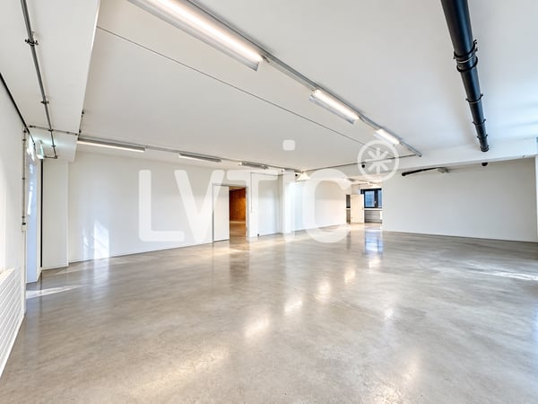 Locaux, production, dépôt, bureaux de 330 m2 à louer à Nyon 2