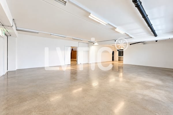 Locaux, production, dépôt, bureaux de 330 m2 à louer à Nyon 7
