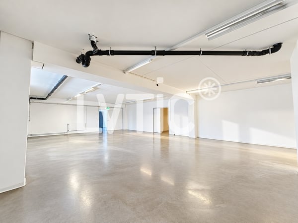 Locaux, production, dépôt, bureaux de 330 m2 à louer à Nyon 4