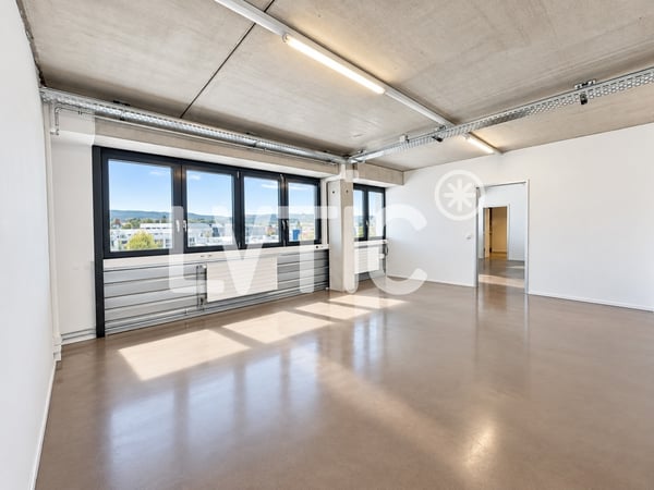 Locaux, production, dépôt, bureaux de 330 m2 à louer à Nyon 6