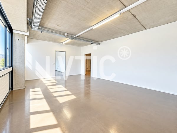Locaux, production, dépôt, bureaux de 330 m2 à louer à Nyon 3