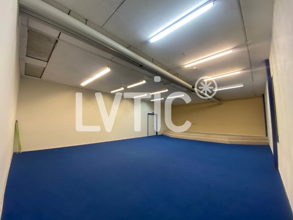 Atelier, dépôt, locaux de 480 m2 divisibles à louer à Ecublens 9