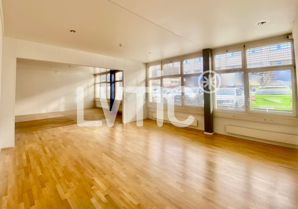 Atelier, dépôt, locaux de 480 m2 divisibles à louer à Ecublens 5