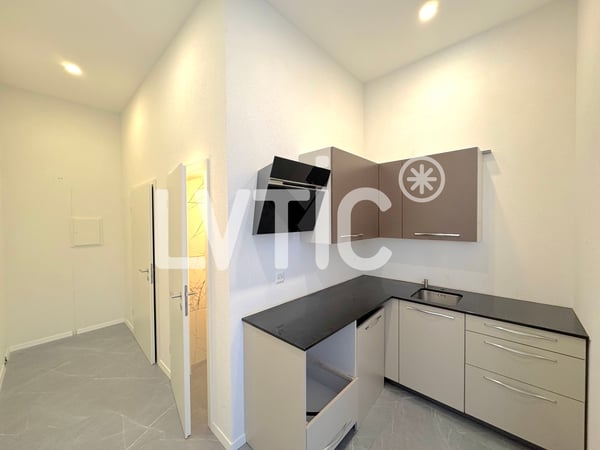Showroom, locaux, atelier de 225 m2 à louer proche Villeneuve 5