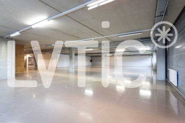 Atelier, laboratoire, dépôt, bureaux de 700 m2 à louer à Nyon 3