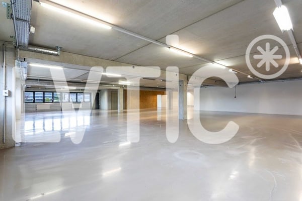 Atelier, laboratoire, dépôt, bureaux de 700 m2 à louer à Nyon