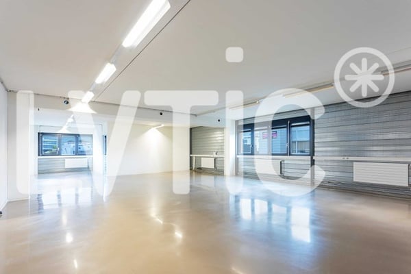 Atelier, laboratoire, dépôt, bureaux de 700 m2 à louer à Nyon 2