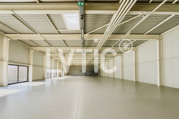 Showrooms, dépôts, locaux de 4280 m2 divisibles à louer à Yverdon 5