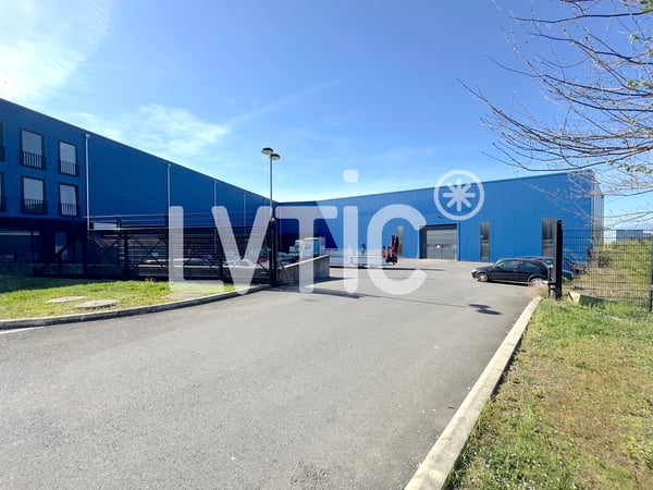 Showrooms, dépôts, locaux de 4280 m2 divisibles à louer à Yverdon 9