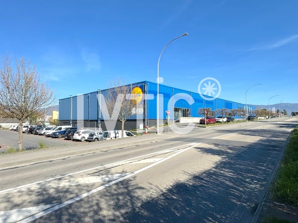 Showrooms, dépôts, locaux de 4280 m2 divisibles à louer à Yverdon 1