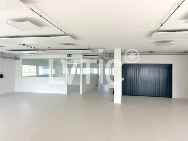 Bâtiment industriel, ateliers, bureaux de 3690 m2 à vendre à Collombey 7