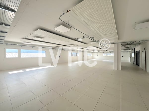 Bâtiment industriel, ateliers, bureaux de 3690 m2 à vendre à Collombey 5