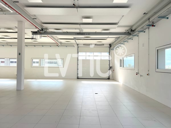 Ateliers, dépôts, bureaux de 3690 m2 divisibles à louer à Collombey 3