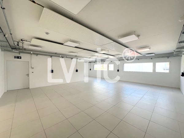 Ateliers, dépôts, bureaux de 3690 m2 divisibles à louer à Collombey 7