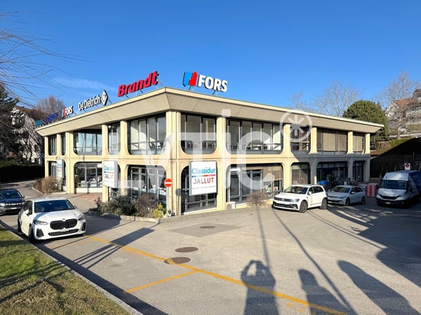 Showroom, locaux, bureaux de 640 m2 à louer à Crissier 6