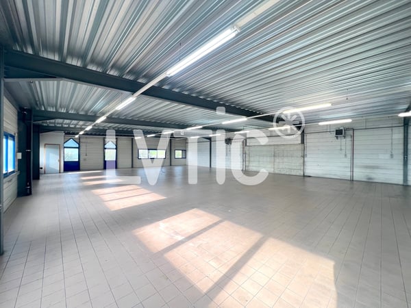 Halle industrielle, bureaux de 970 m2 à louer à Yverdon - Treycovagnes 2