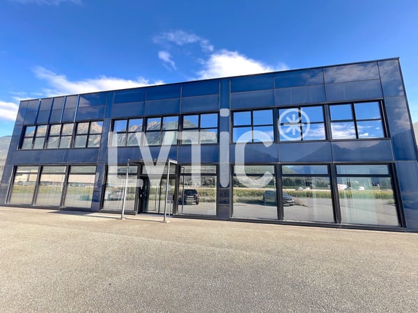 Halle industrielle, showroom, bureaux de 2460 m2 à louer à Martigny 3