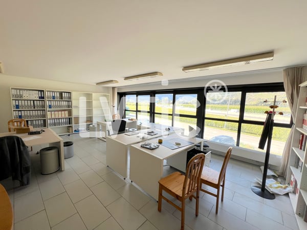 Halle industrielle, showroom, bureaux de 2460 m2 à louer à Martigny 7