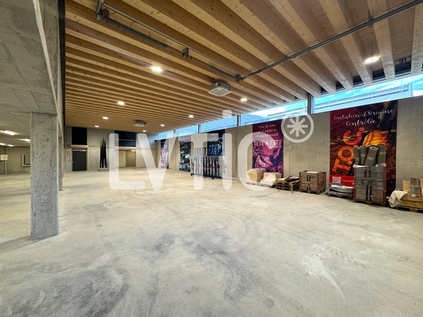 Atelier, dépôt, showroom de 600 m2 à louer à Martigny 5