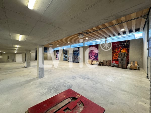 Atelier, dépôt, showroom de 600 m2 à louer à Martigny 2