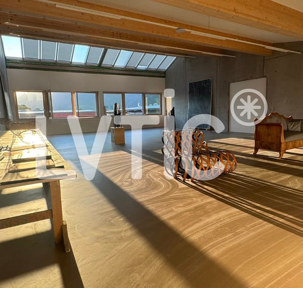 Atelier, dépôt, showroom de 600 m2 à louer à Martigny 10