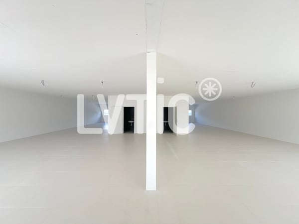 Bâtiment industriel, ateliers, bureaux de 1240 m2 à vendre à Collombey 6