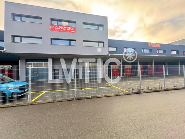 Bâtiment industriel, ateliers, bureaux de 1240 m2 à vendre à Collombey 8