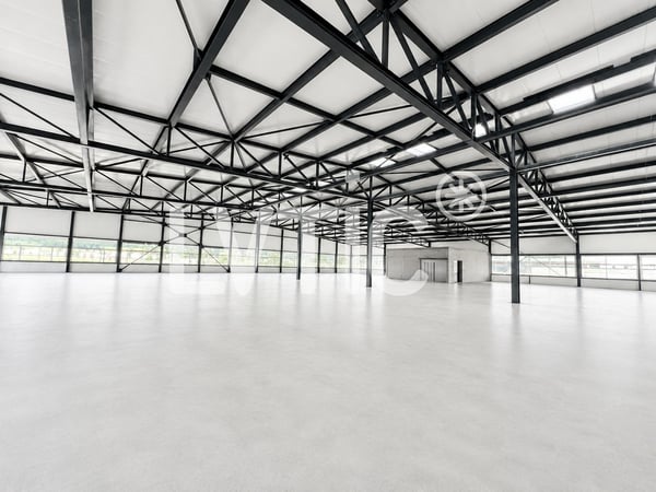 Halle industrielle, bureaux de 6600 m2 divisibles à louer à Domdidier 7