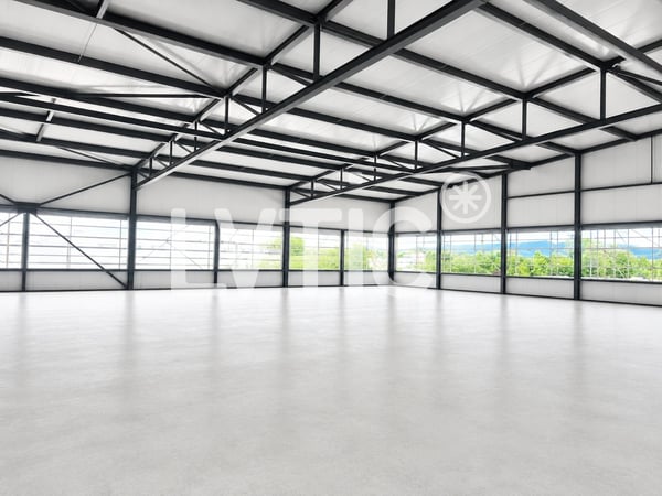 Halle industrielle, bureaux de 6600 m2 divisibles à louer à Domdidier 6