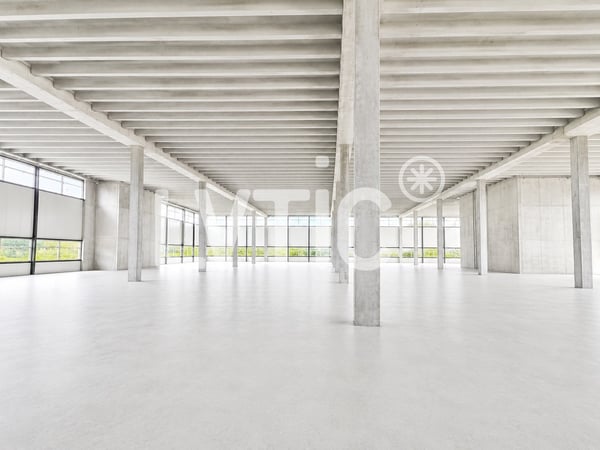 Halle industrielle de 3200 m2 divisible 1500 m2 à louer à Domdidier 6