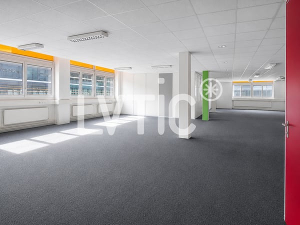 Ateliers, dépôts, bureaux de 760 m2 à louer à Renens 6