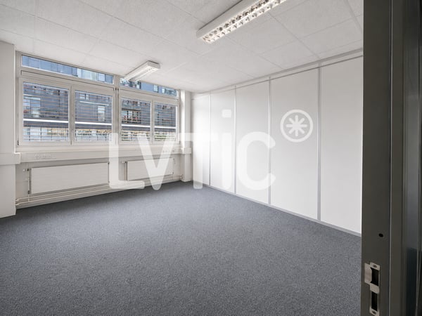 Ateliers, dépôts, bureaux de 760 m2 à louer à Renens 4