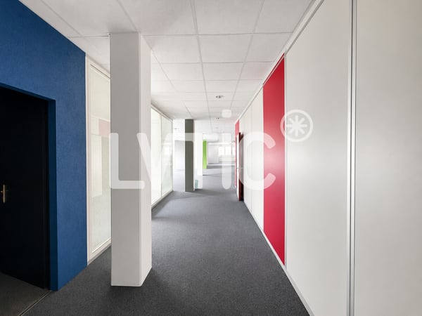 Ateliers, dépôts, bureaux de 760 m2 à louer à Renens 7