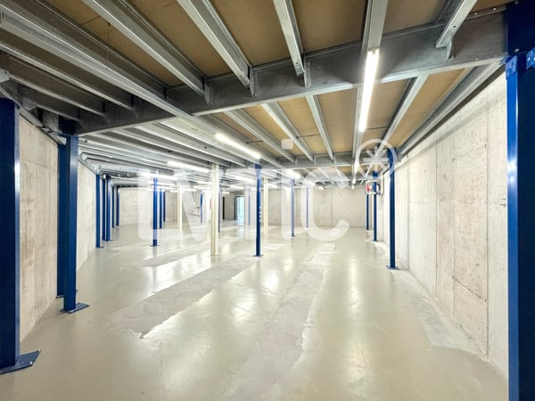 Locaux, showrooms, dépôts de 1165 m2 à louer à Yverdon 4